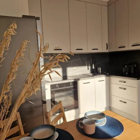 Apartment Ilawianka *